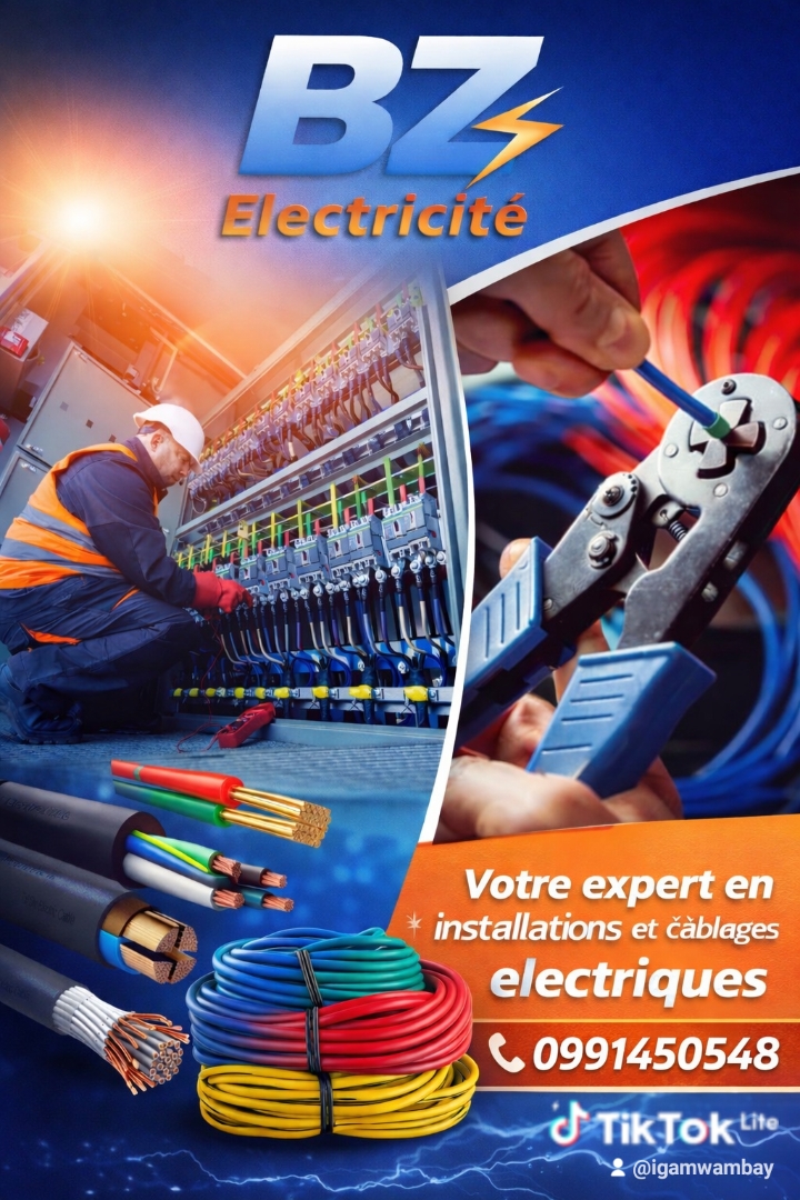 Publicité de la maison BZ  elec