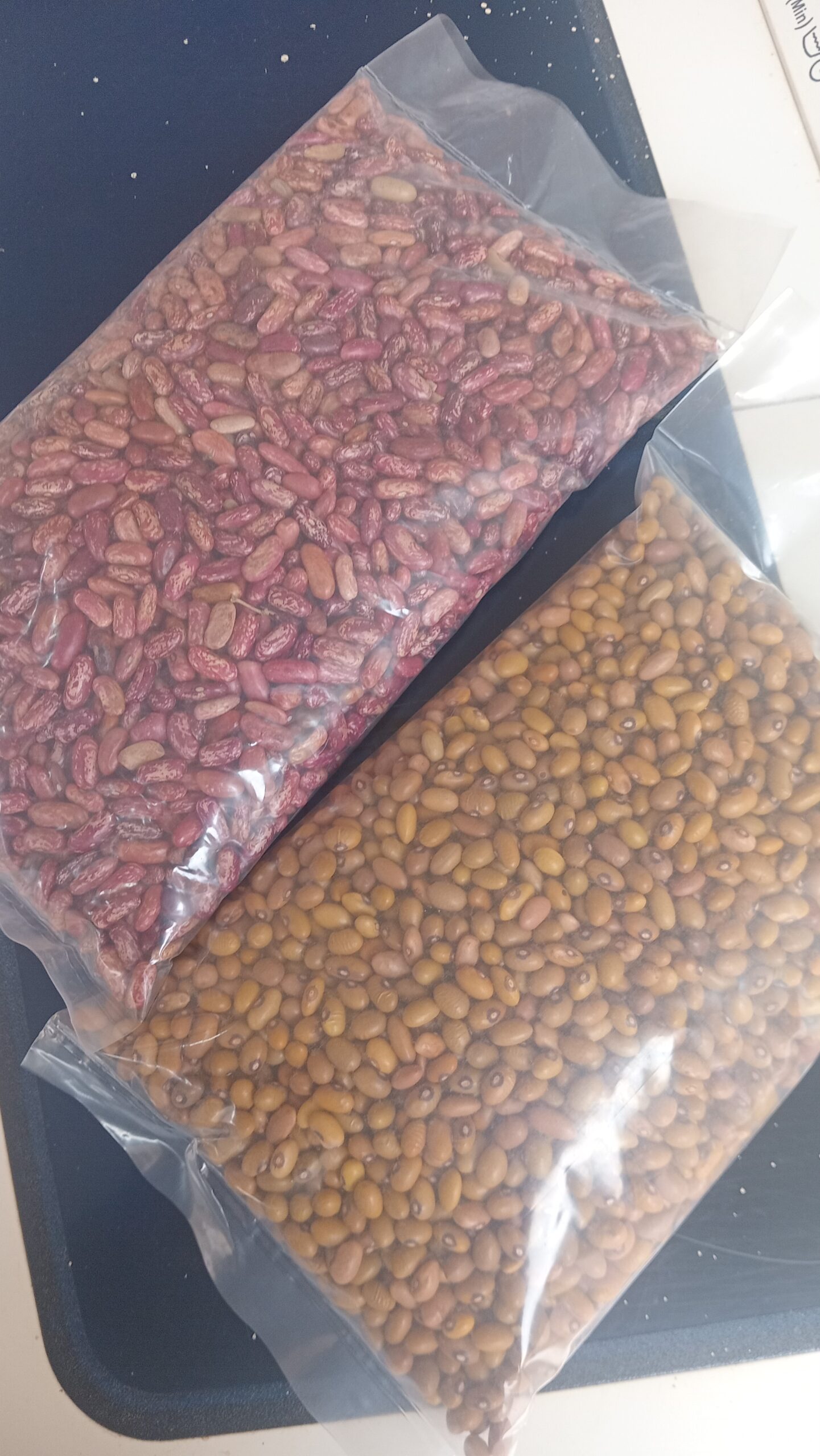 Haricots/ Maalaki