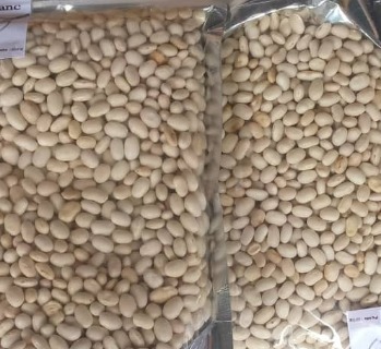 Haricots/ Maalaki